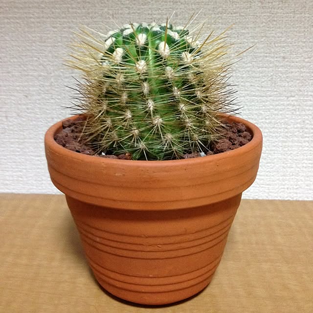 tomoさんの実例写真