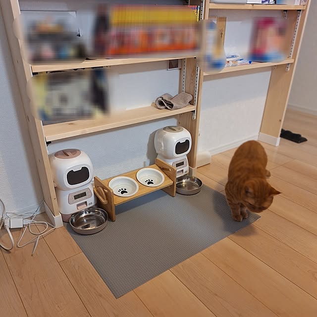 asahinaさんの実例写真
