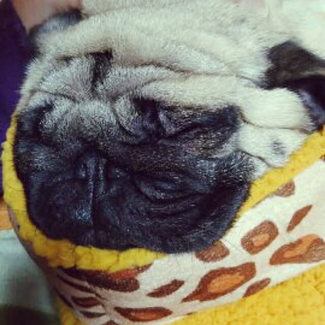 kotata96さんの実例写真