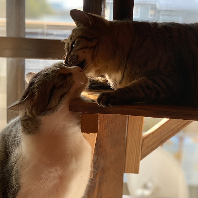 rioさんの実例写真
