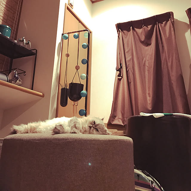 nodiさんの実例写真