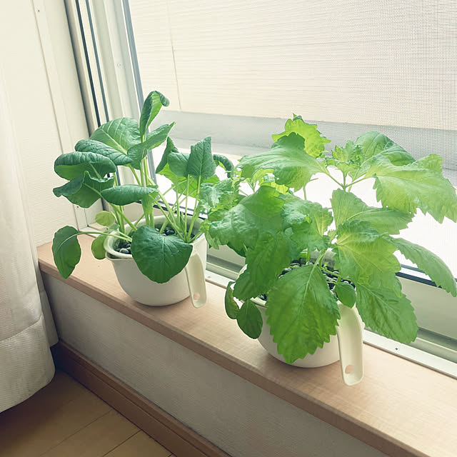 keep_patienceさんの部屋