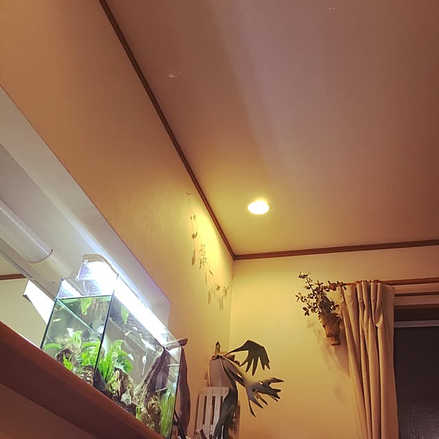 satsukiさんの実例写真