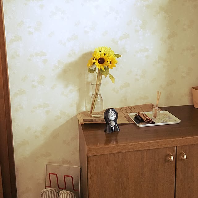 玄関/入り口のインテリア実例 - 2016-05-31 12:44:47