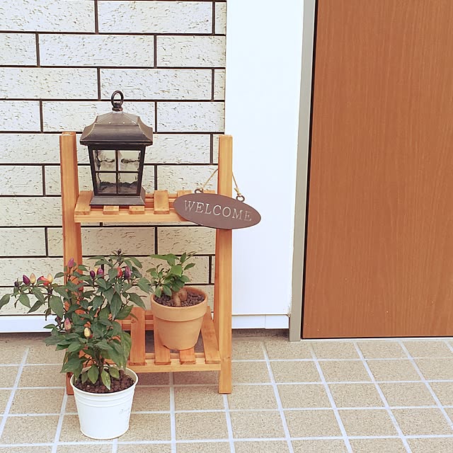 littleforestさんの実例写真