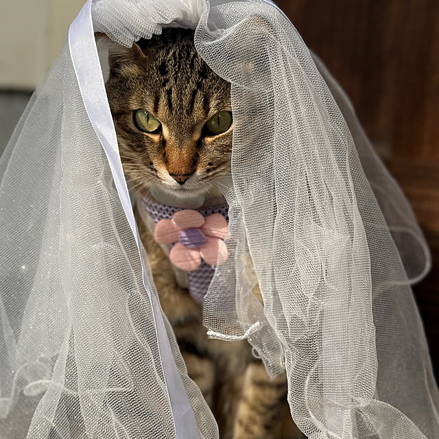 m-poem-cooさんの部屋