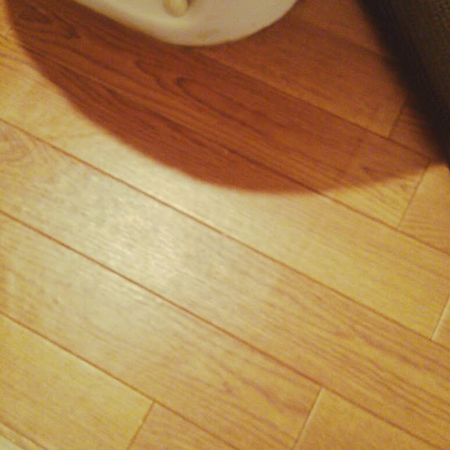 riesanchiさんの実例写真