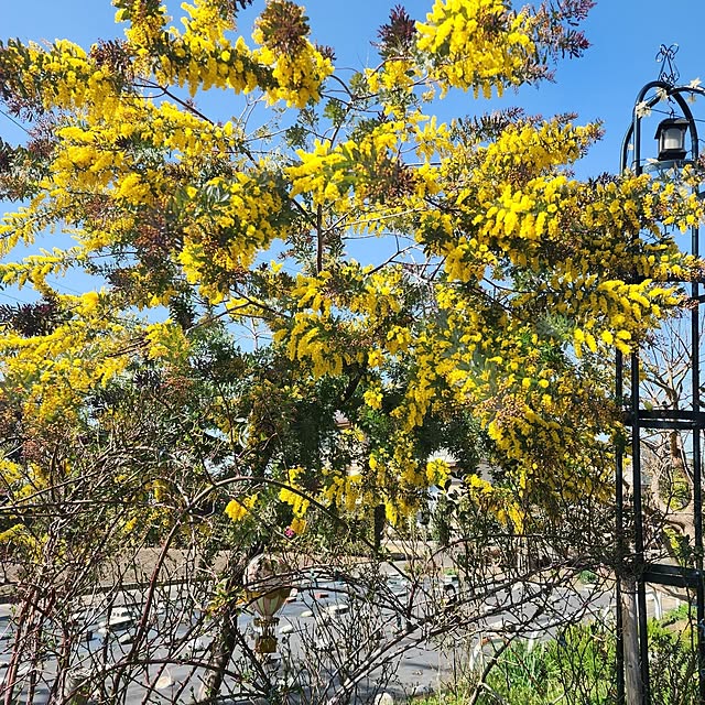 GreenHomeさんの実例写真