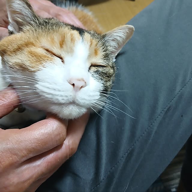 murasaki808さんの実例写真