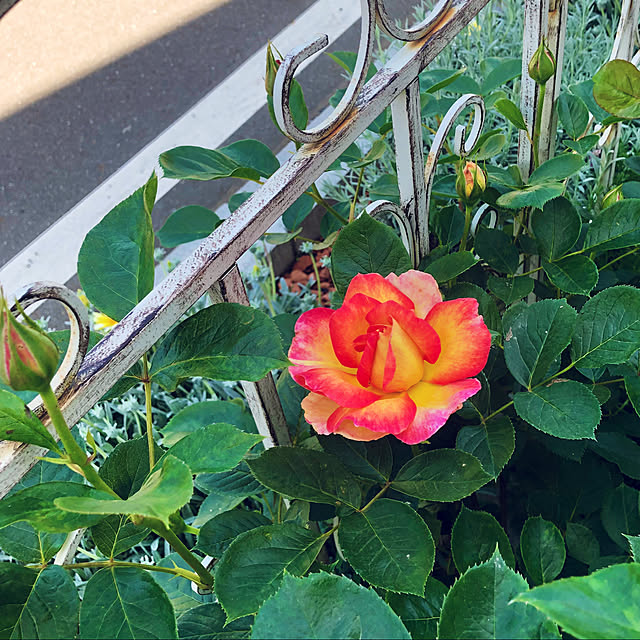 tomoさんの部屋