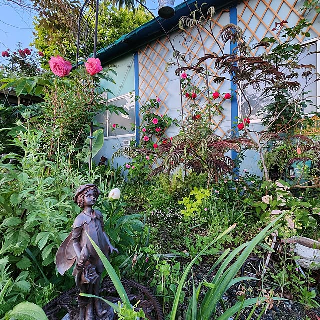 GreenHomeさんの部屋
