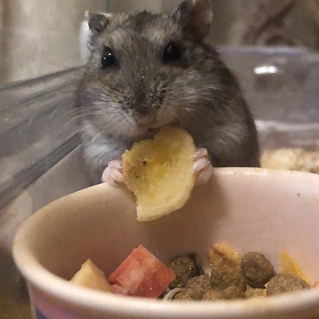 tomoさんの実例写真
