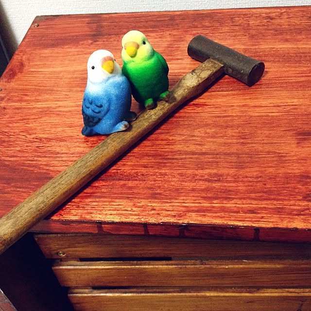kan_chanさんの実例写真