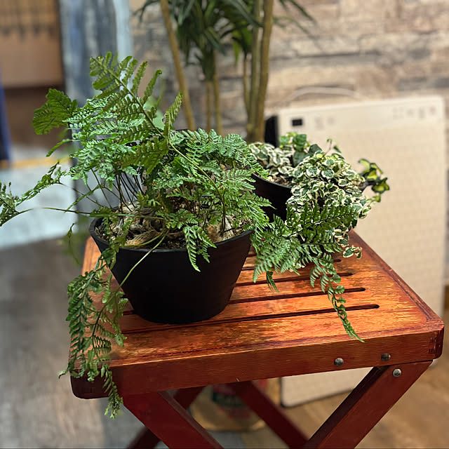 tututu0204さんの実例写真