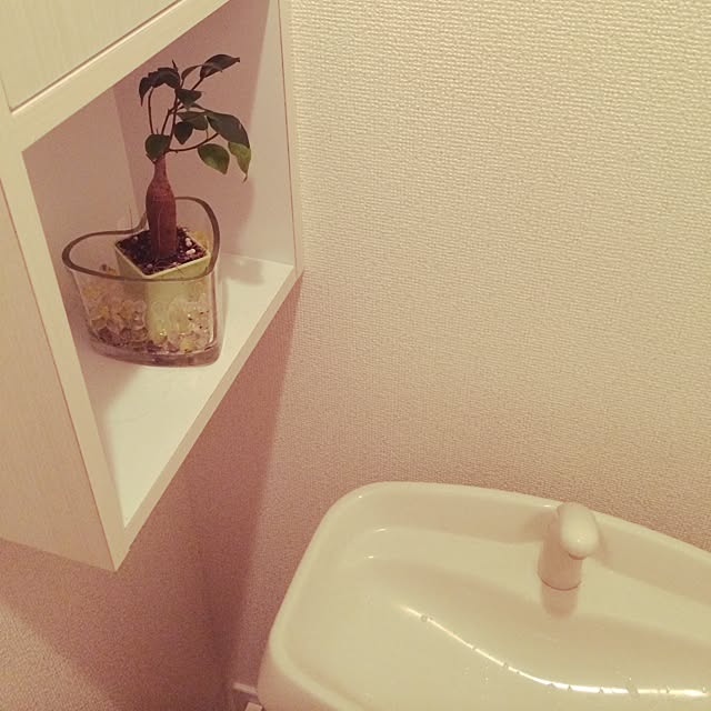 mariaさんの実例写真