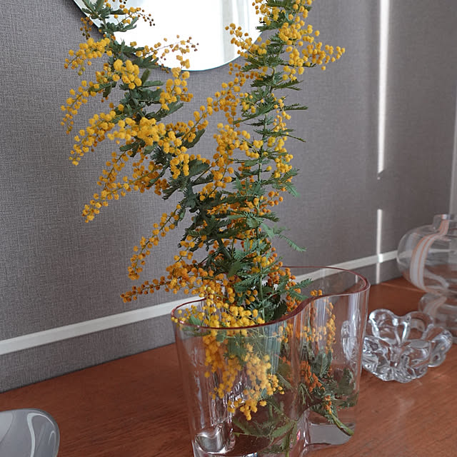 mainさんの実例写真