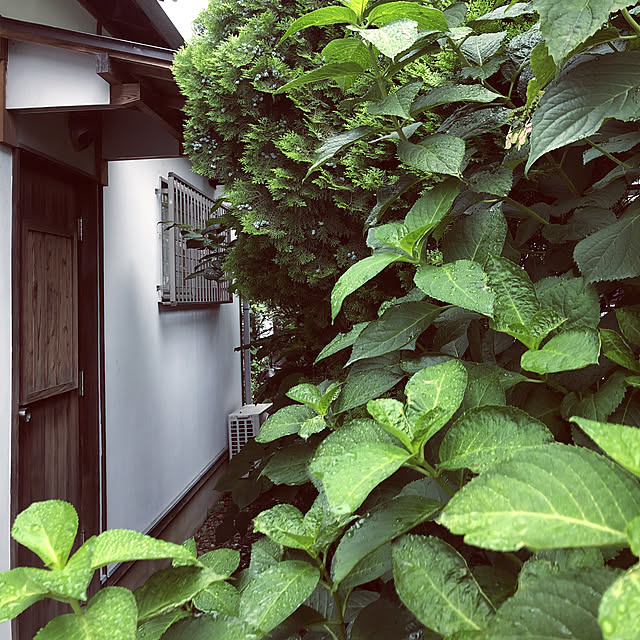 chacoさんの実例写真