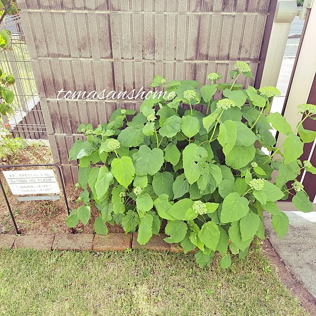 tomasanさんの実例写真