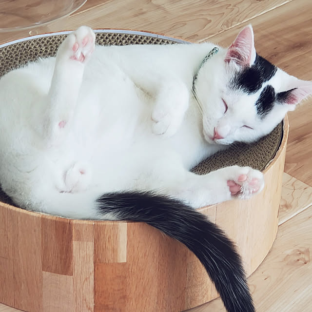 Rinさんの実例写真