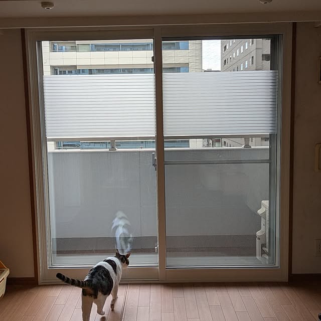 diopucciさんの部屋