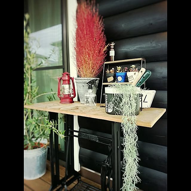 sugiさんの実例写真