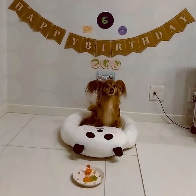 toratanさんの実例写真