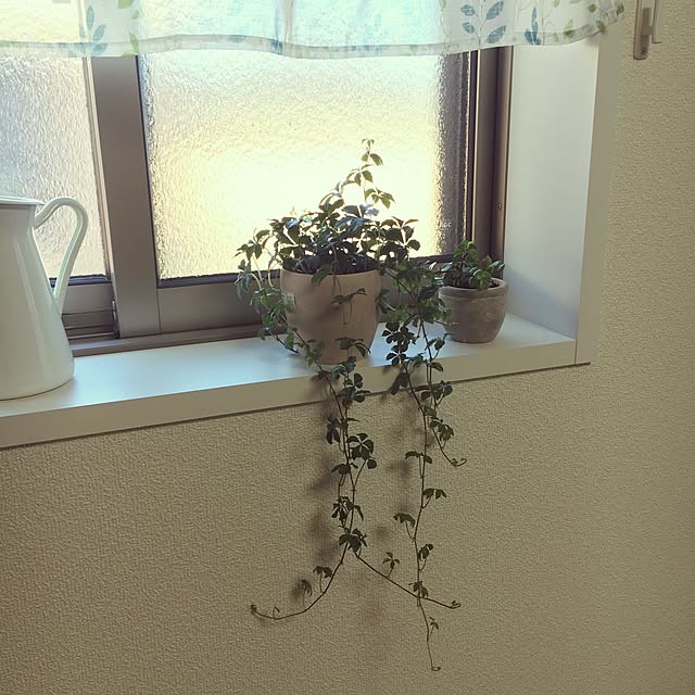 chisaさんの実例写真