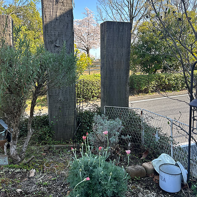 1TAさんの実例写真