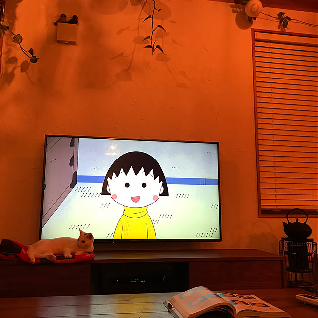 sakurasakuさんの実例写真