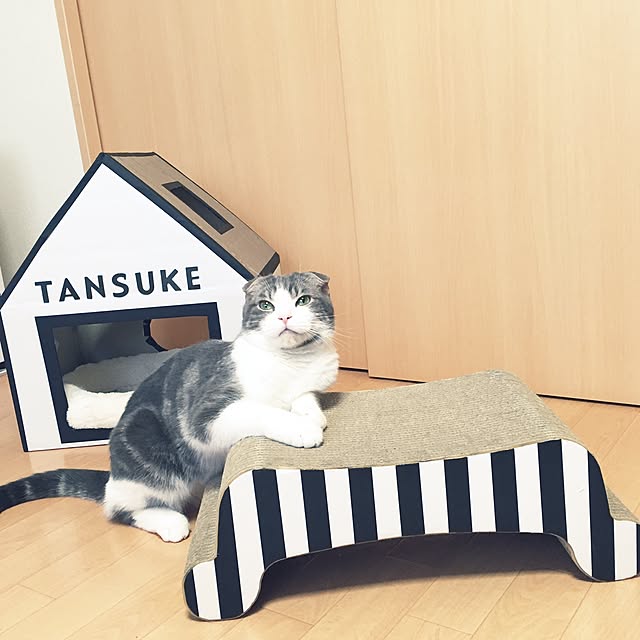 tansukeさんの実例写真
