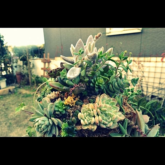 GreenWorksさんの実例写真