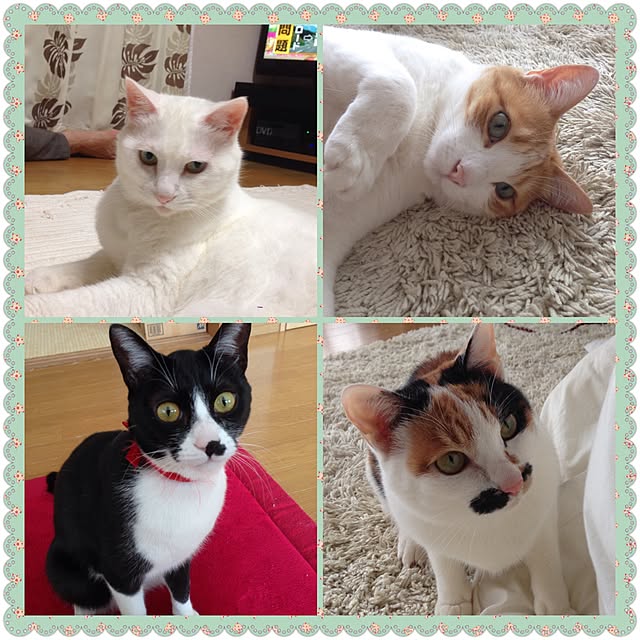 Kinanさんの実例写真