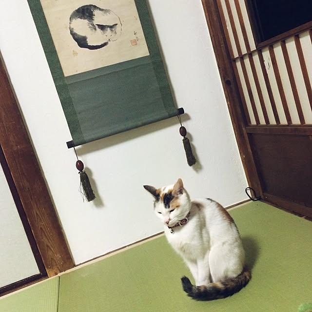 Hazukiさんの実例写真