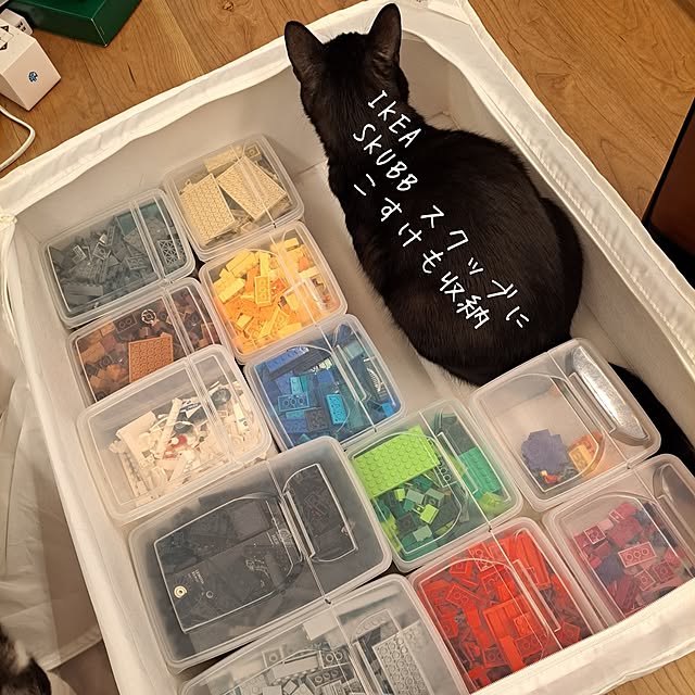 kankanmom_horn_5catsさんの部屋