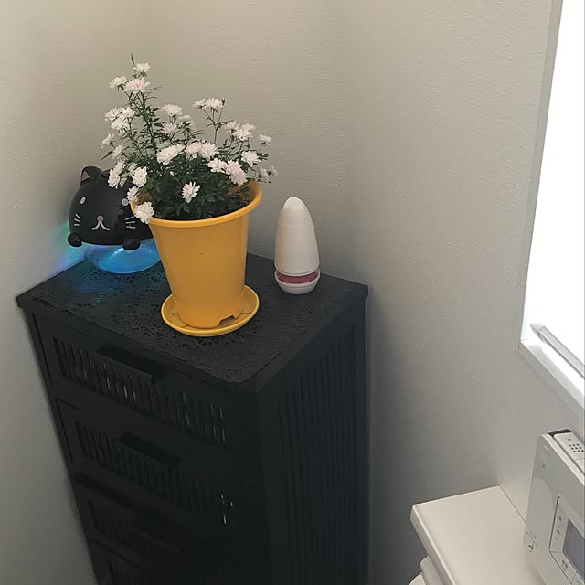 hamutarohさんの実例写真