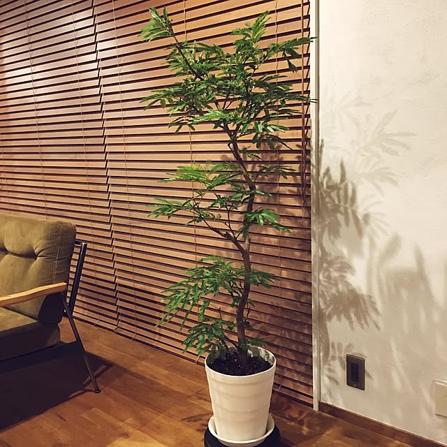 ymさんの実例写真
