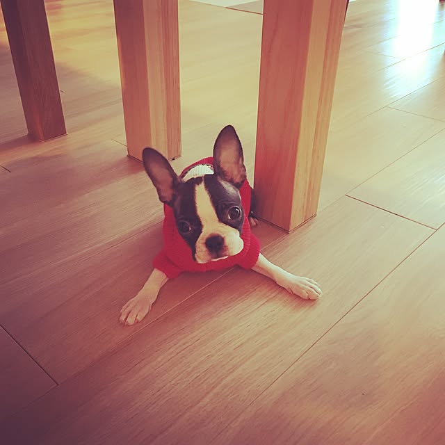 kumico.さんの実例写真