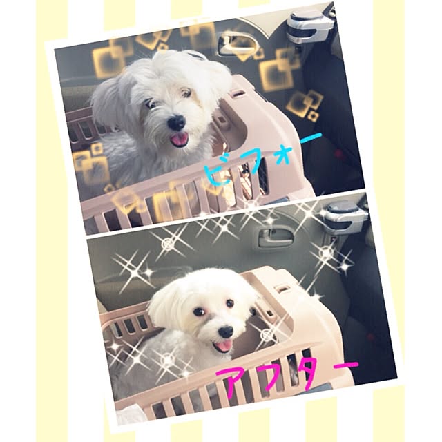 relaxsunさんの実例写真