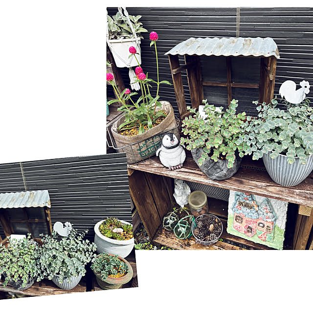 CoCo0617さんの部屋