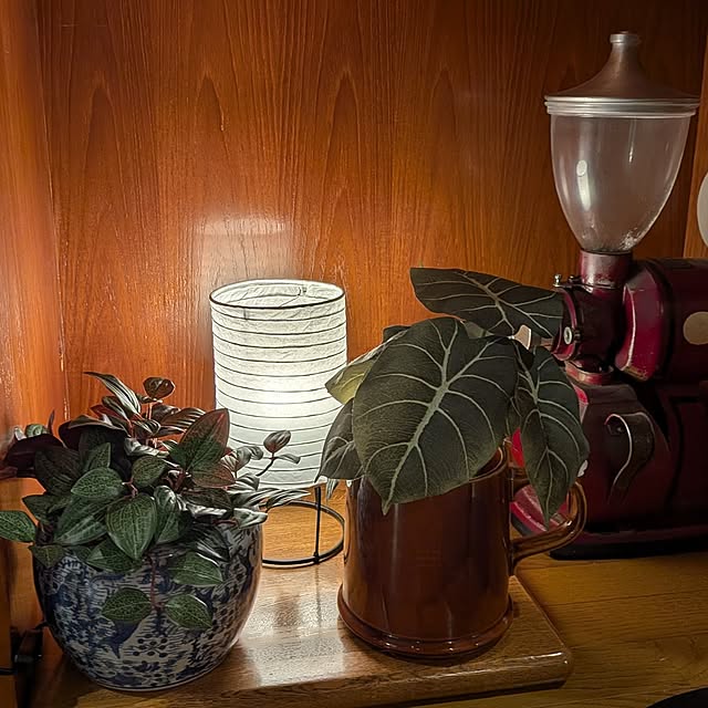 Mayumi8888さんの実例写真