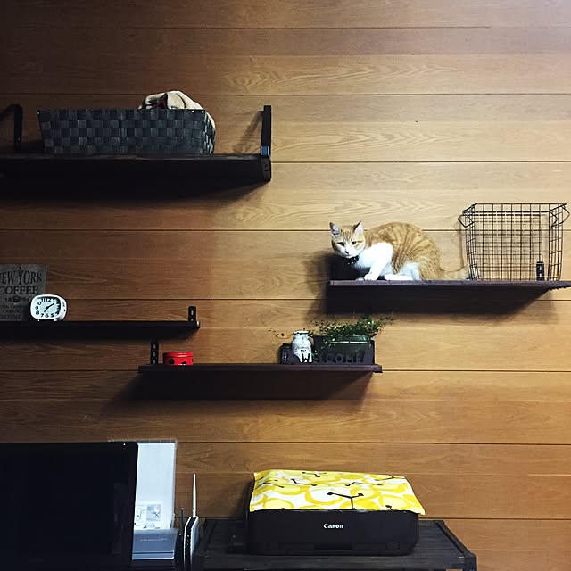 Matsuriさんの実例写真