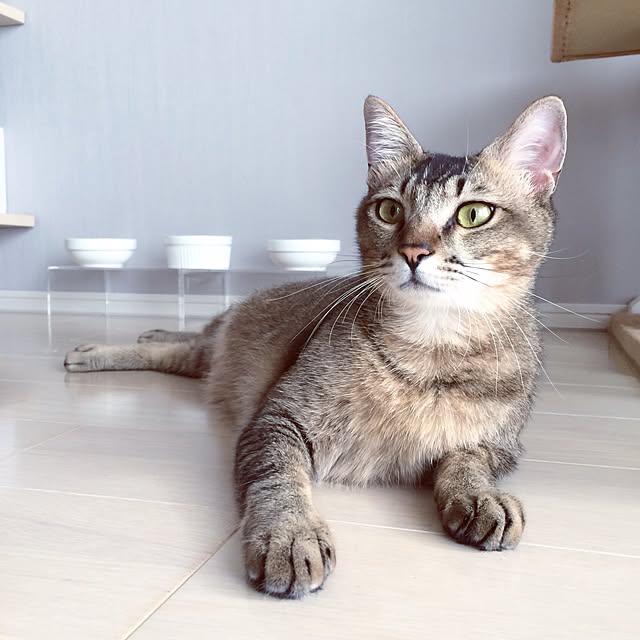 Reikoさんの実例写真
