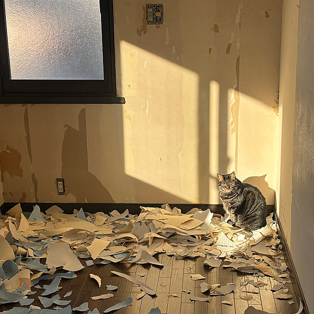 momocchiさんの部屋