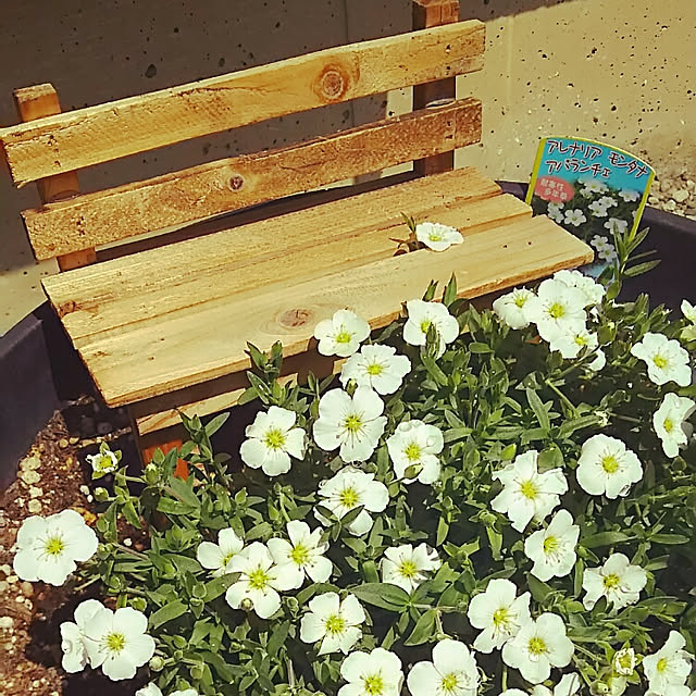 sunflowerさんの実例写真