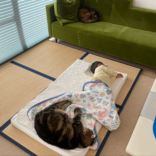 mikomaruさんの実例写真