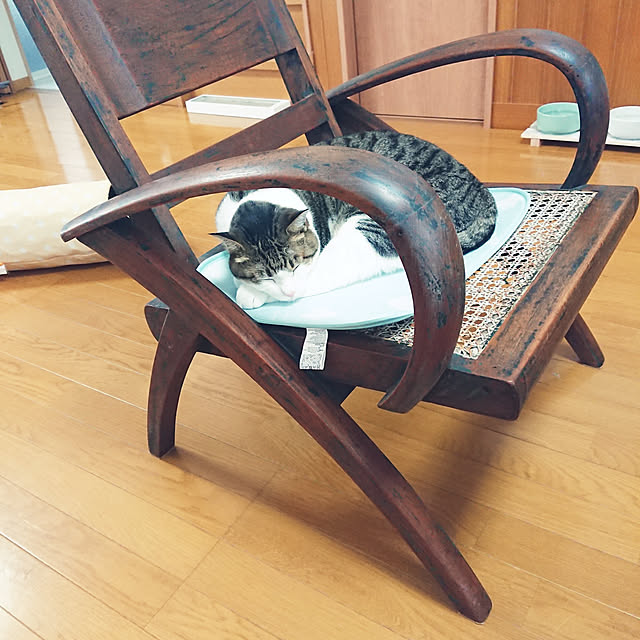 nachiさんの実例写真