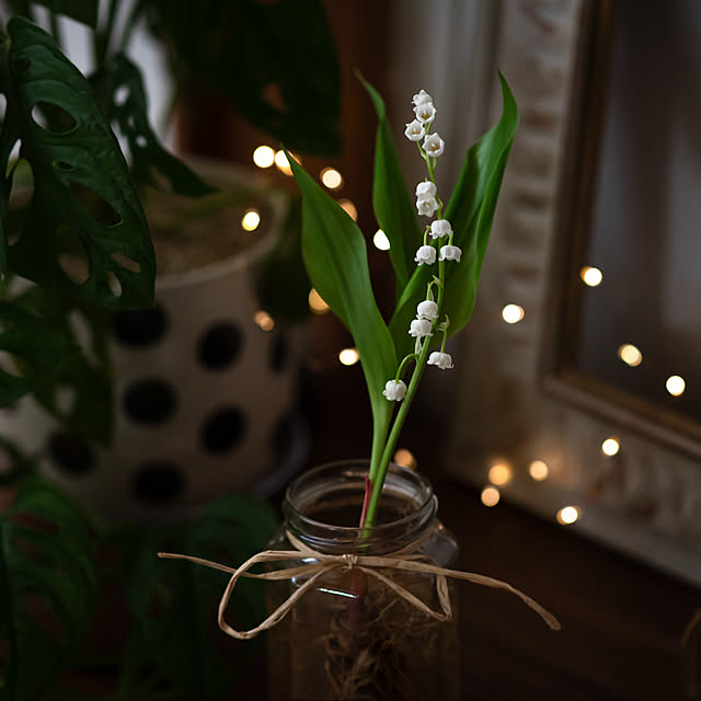 ayamaruさんの部屋