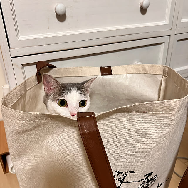 sasasanosasukekunさんの実例写真