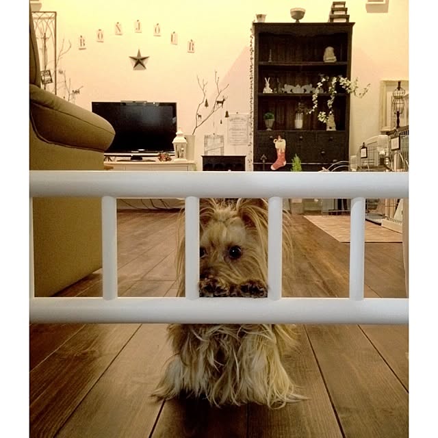cheeさんの実例写真