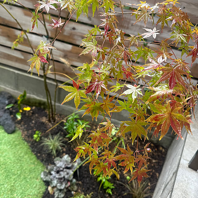 Yukaさんの部屋